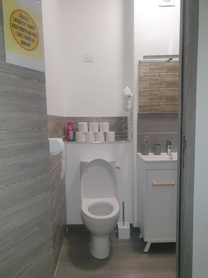Studio Meuble Au Rdc , Proche Lac 艾克斯莱班 外观 照片