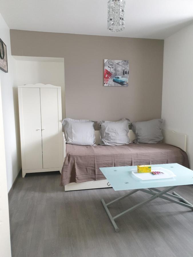 Studio Meuble Au Rdc , Proche Lac 艾克斯莱班 外观 照片