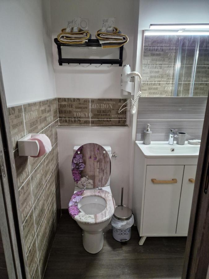 Studio Meuble Au Rdc , Proche Lac 艾克斯莱班 外观 照片