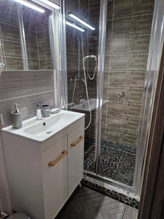 Studio Meuble Au Rdc , Proche Lac 艾克斯莱班 外观 照片